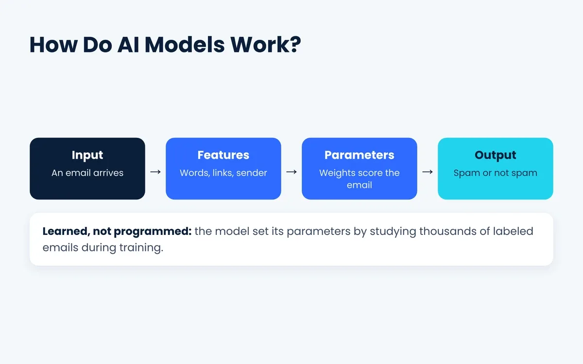 How do AI models work: input, features, parameters and output in a spam filter
