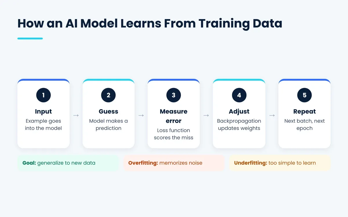 How AI models learn from training data: input, guess, measure error, adjust and repeat