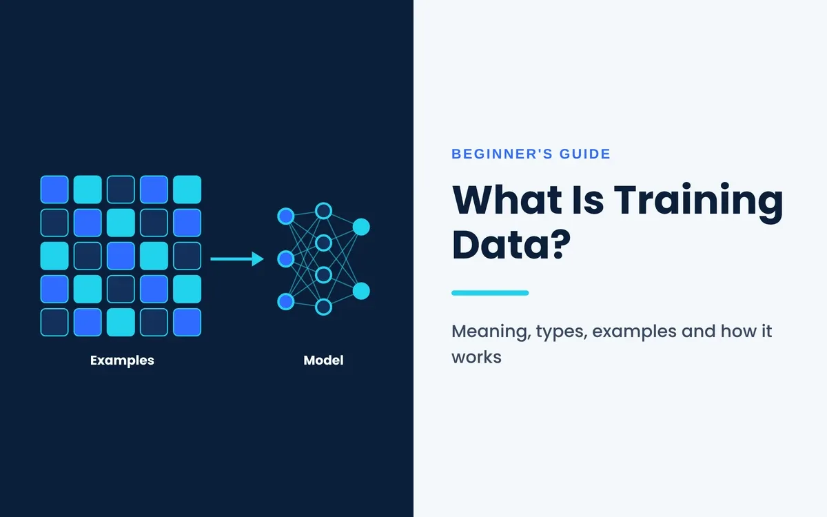 What is training data